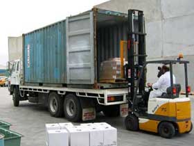 Traditional Foods Export